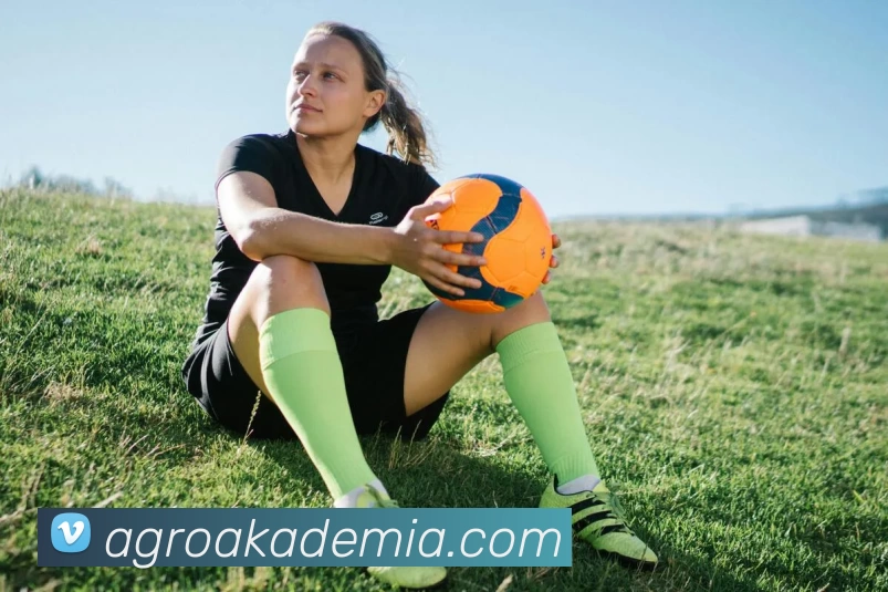 AI Risk Control